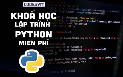 Khóa học lập trình Python Online Miễn phí